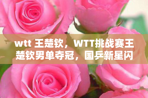 wtt 王楚钦，WTT挑战赛王楚钦男单夺冠，国乒新星闪耀赛场，未来可期