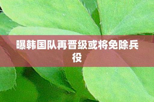 曝韩国队再晋级或将免除兵役