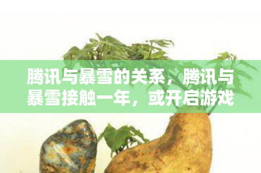 腾讯与暴雪的关系,腾讯与暴雪接触一年,或开启游戏产业新篇章 腾讯与暴雪的关系,腾讯与暴雪接触一年,或开启游戏产业新篇章