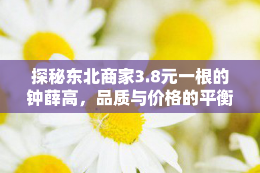 探秘东北商家3.8元一根的钟薛高，品质与价格的平衡之道