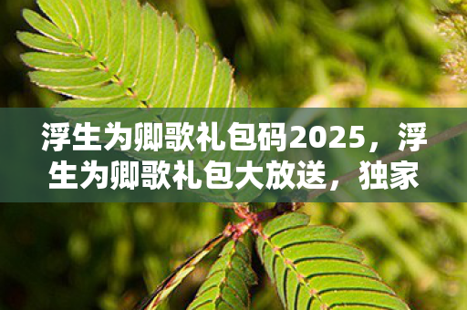 浮生为卿歌礼包码2025，浮生为卿歌礼包大放送，独家APP助你畅游古风世界