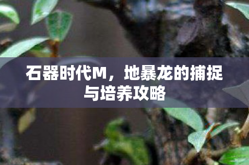 石器时代M，地暴龙的捕捉与培养攻略