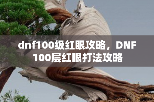 dnf100级红眼攻略，DNF100层红眼打法攻略
