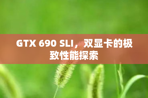 GTX 690 SLI，双显卡的极致性能探索