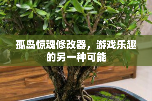 孤岛惊魂修改器，游戏乐趣的另一种可能
