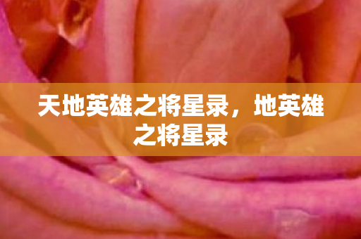 天地英雄之将星录，地英雄之将星录