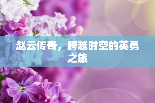 赵云传奇，跨越时空的英勇之旅
