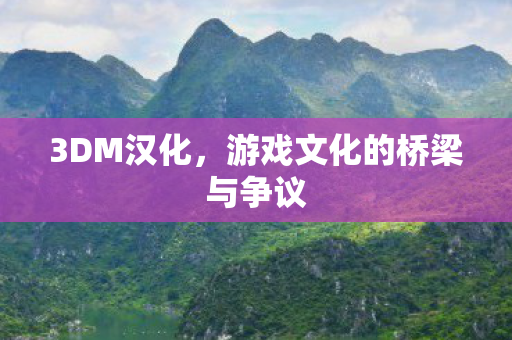 3DM汉化，游戏文化的桥梁与争议