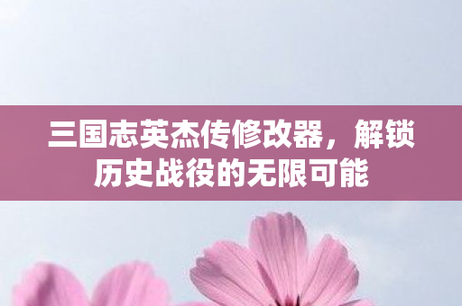 三国志英杰传修改器，解锁历史战役的无限可能