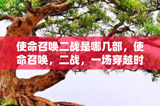 使命召唤二战是哪几部，使命召唤，二战，一场穿越时空的战役