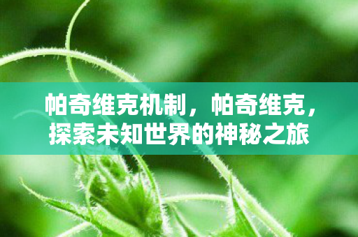 帕奇维克机制，帕奇维克，探索未知世界的神秘之旅