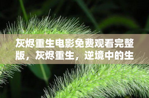 灰烬重生电影免费观看完整版，灰烬重生，逆境中的生命赞歌