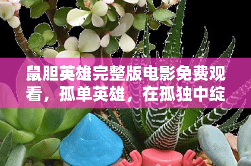 鼠胆英雄完整版电影免费观看，孤单英雄，在孤独中绽放的辉煌