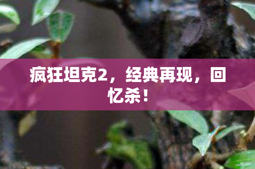 疯狂坦克2,经典再现,回忆杀! 疯狂坦克2,经典再现,回忆杀!