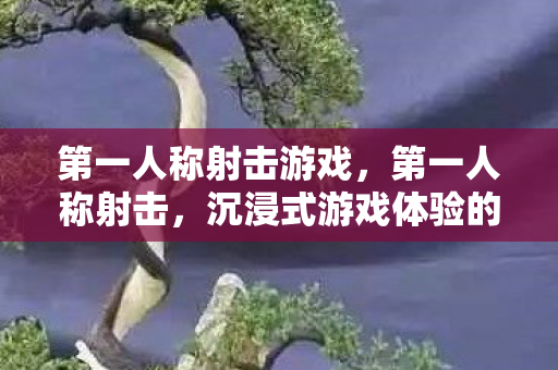 第一人称射击游戏，第一人称射击，沉浸式游戏体验的革新