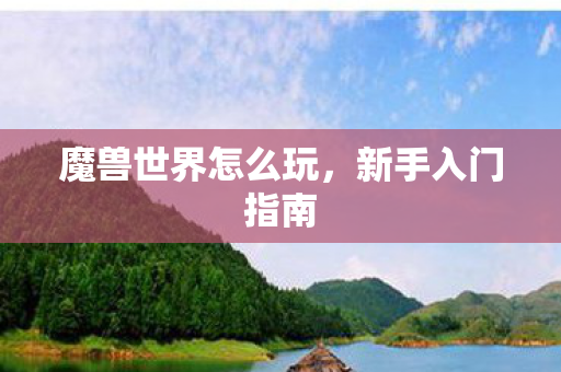 魔兽世界怎么玩，新手入门指南