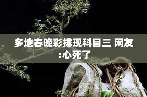 多地春晚彩排现科目三 网友:心死了
