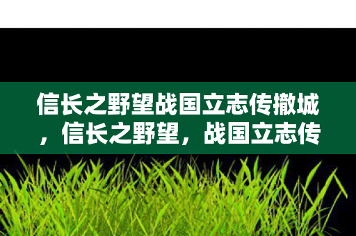信长之野望战国立志传撤城，信长之野望，战国立志传