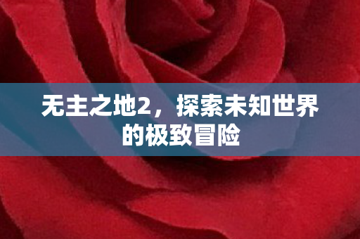 无主之地2，探索未知世界的极致冒险