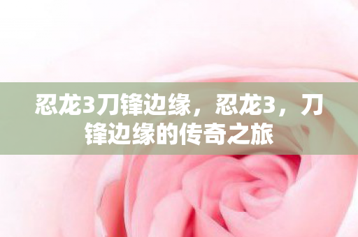忍龙3刀锋边缘，忍龙3，刀锋边缘的传奇之旅