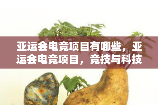 亚运会电竞项目有哪些，亚运会电竞项目，竞技与科技的完美融合