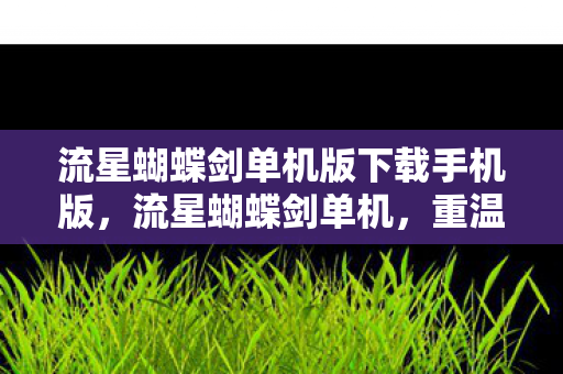 流星蝴蝶剑单机版下载手机版，流星蝴蝶剑单机，重温经典武侠的浪漫与激情