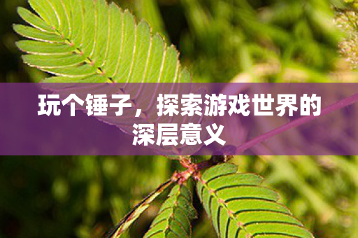 玩个锤子，探索游戏世界的深层意义