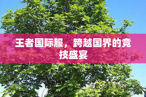 王者国际服，跨越国界的竞技盛宴