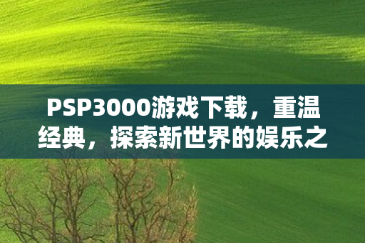 PSP3000游戏下载，重温经典，探索新世界的娱乐之旅