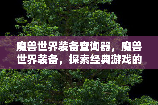 魔兽世界装备查询器，魔兽世界装备，探索经典游戏的传奇装备