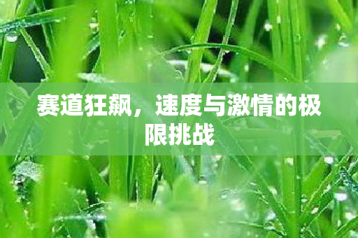 赛道狂飙，速度与激情的极限挑战