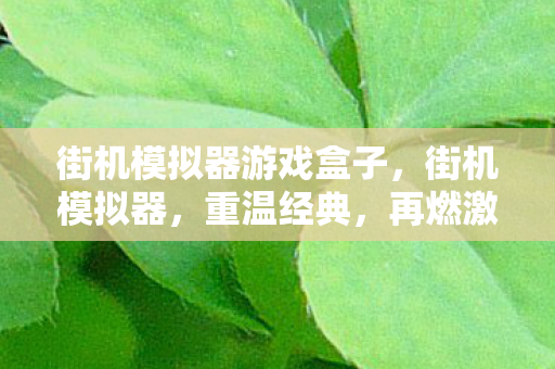 街机模拟器游戏盒子，街机模拟器，重温经典，再燃激情