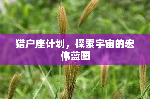猎户座计划，探索宇宙的宏伟蓝图