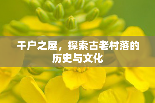 千户之屋,探索古老村落的历史与文化 千户之屋,探索古老村落的历史与文化
