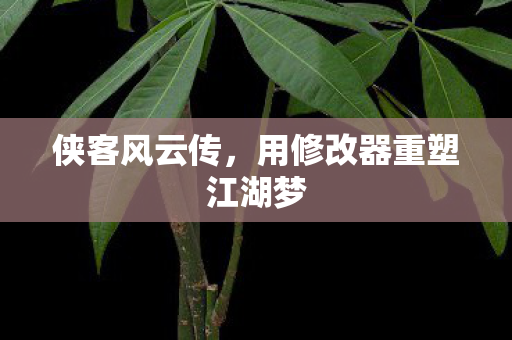 侠客风云传，用修改器重塑江湖梦