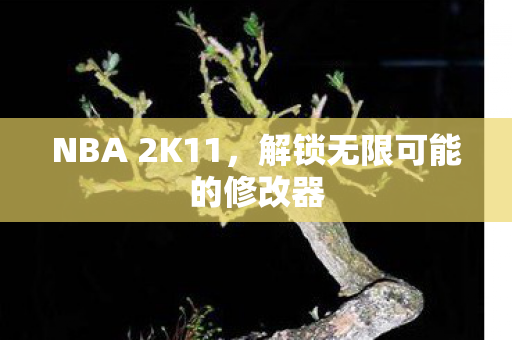 NBA 2K11，解锁无限可能的修改器