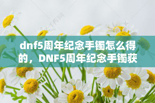 dnf5周年纪念手镯怎么得的，DNF5周年纪念手镯获取攻略