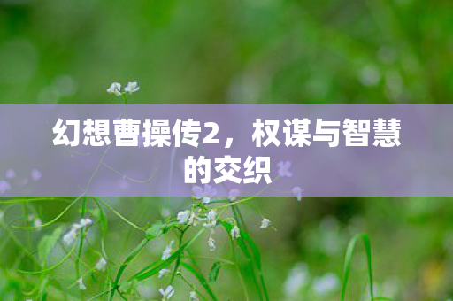 幻想曹操传2，权谋与智慧的交织
