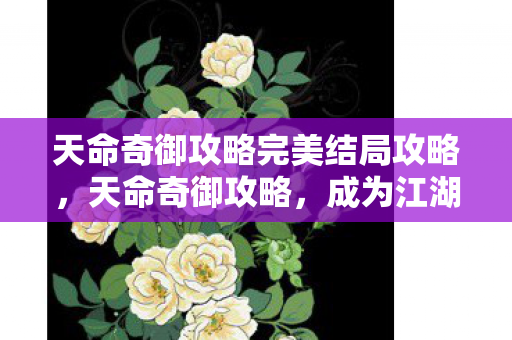 天命奇御攻略完美结局攻略，天命奇御攻略，成为江湖霸主的秘密