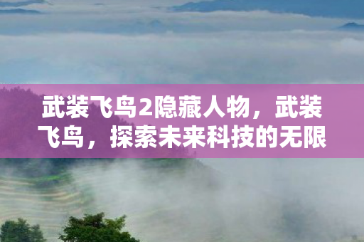 武装飞鸟2隐藏人物，武装飞鸟，探索未来科技的无限可能