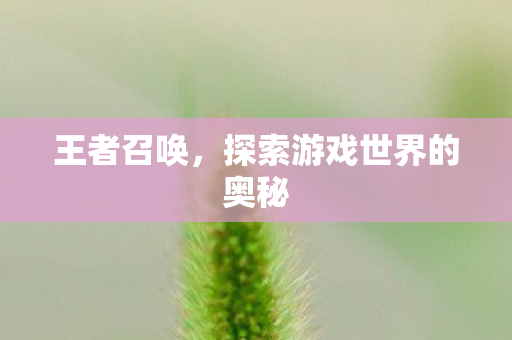 王者召唤，探索游戏世界的奥秘