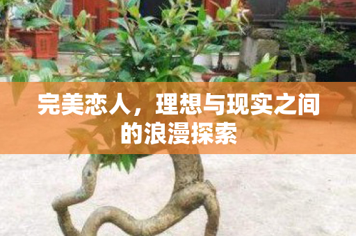 完美恋人，理想与现实之间的浪漫探索