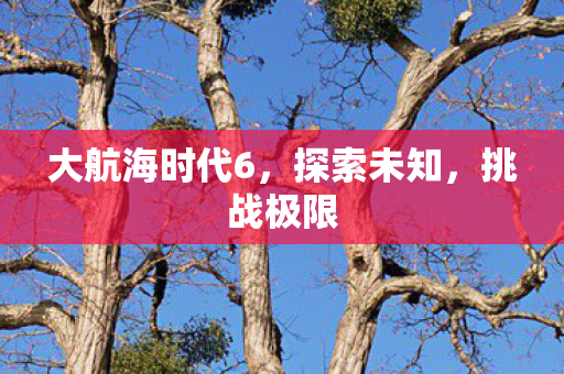 大航海时代6，探索未知，挑战极限