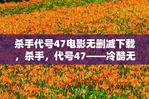 杀手代号47电影无删减下载，杀手，代号47——冷酷无情的致命艺术