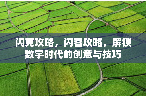 闪克攻略，闪客攻略，解锁数字时代的创意与技巧