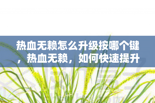 热血无赖怎么升级按哪个键，热血无赖，如何快速提升角色等级