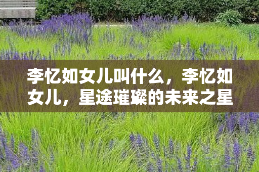星途璀璨的未来之星图片