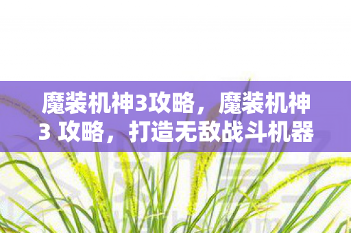 魔装机神3攻略，魔装机神3 攻略，打造无敌战斗机器人