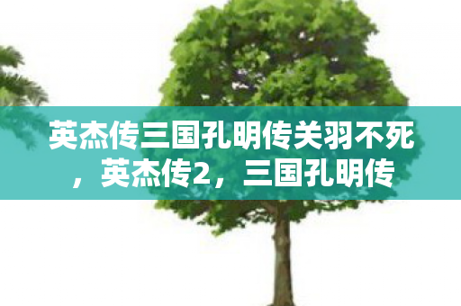 英杰传三国孔明传关羽不死，英杰传2，三国孔明传