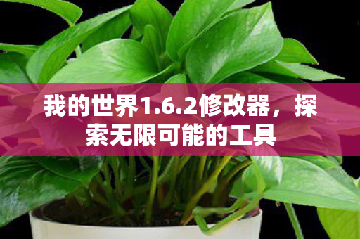 我的世界1.6.2修改器,探索无限可能的工具 我的世界1.6.2修改器,探索无限可能的工具